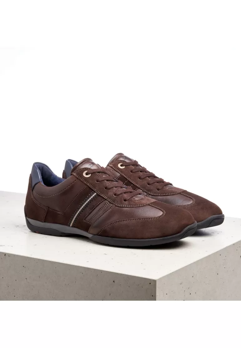 Flash Sale LLOYD BARBADOS Braun