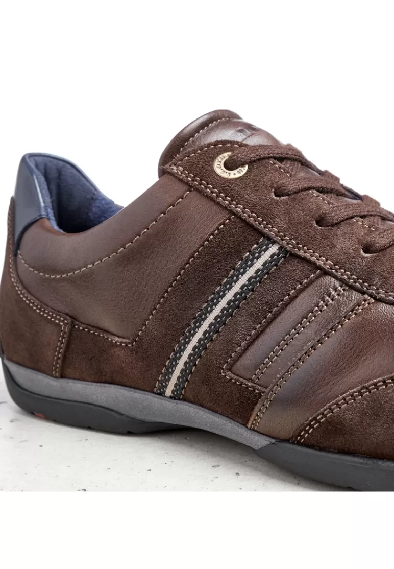Flash Sale LLOYD BARBADOS Braun