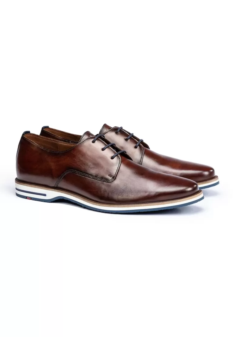 Shop LLOYD DAKIN Braun