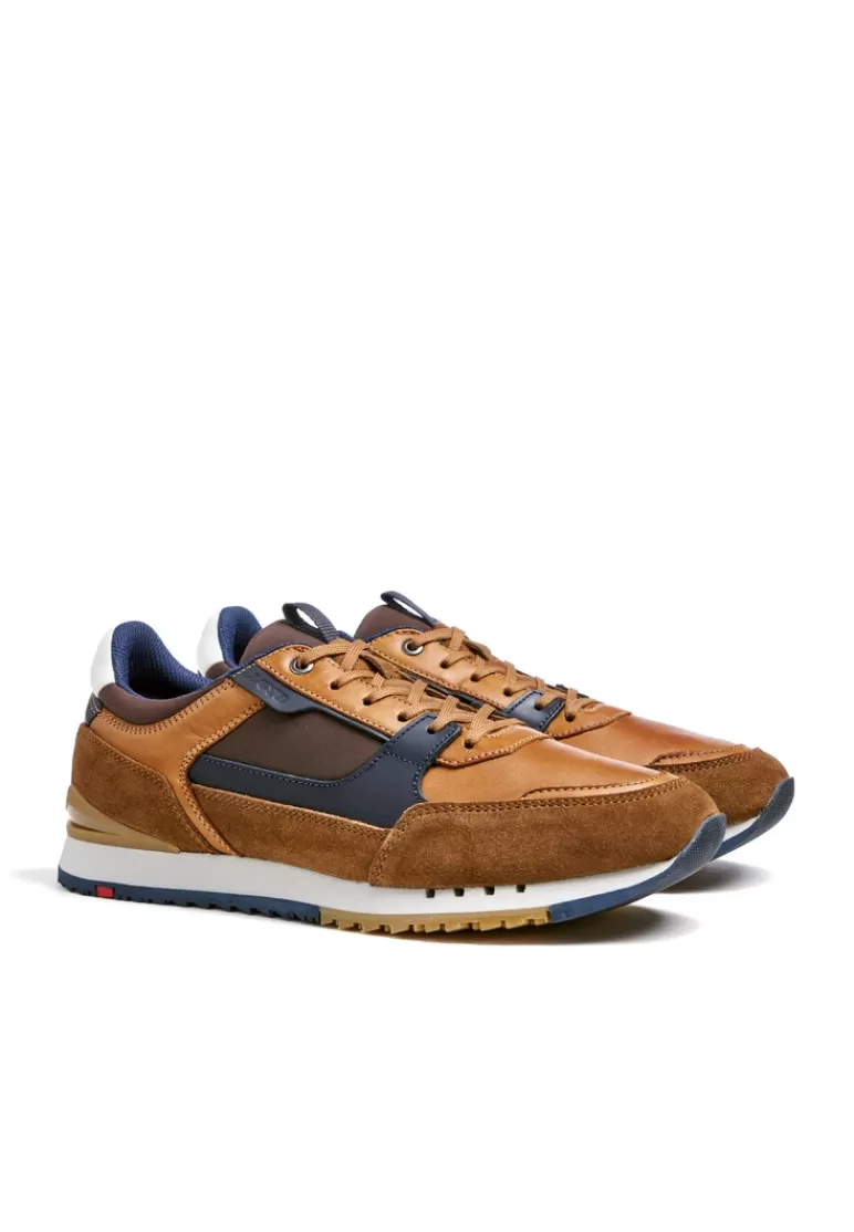 Shop LLOYD EIRON Braun