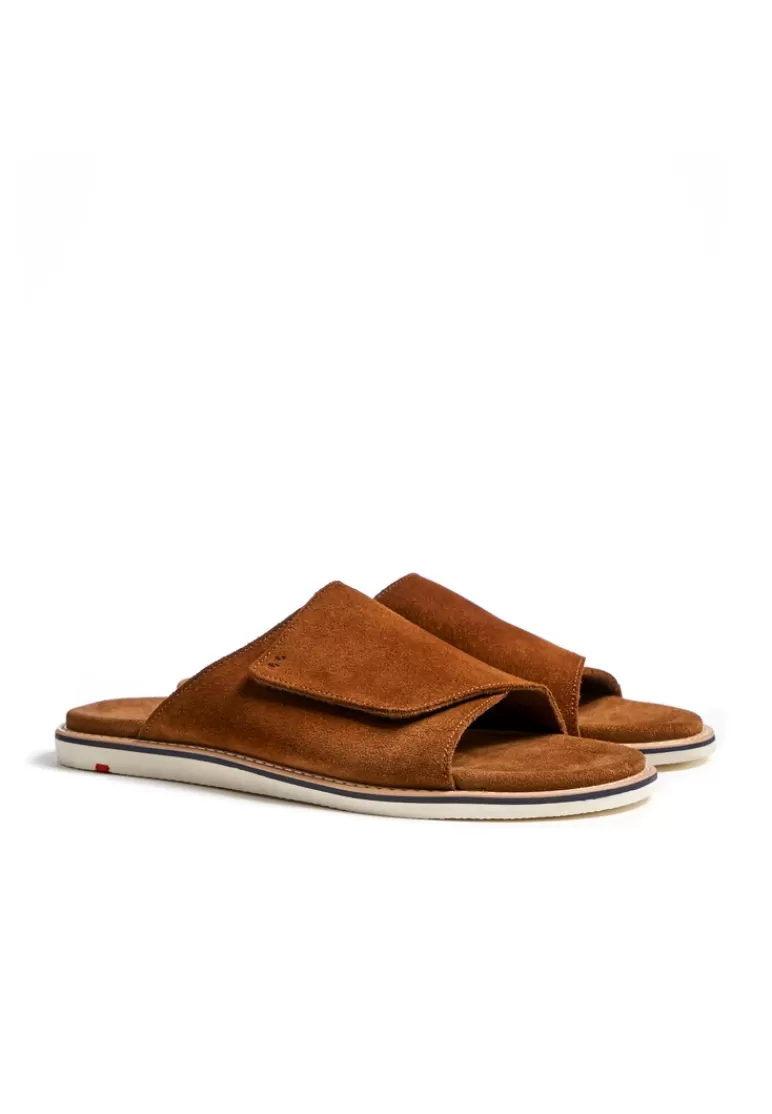 Clearance LLOYD ELIOS Braun