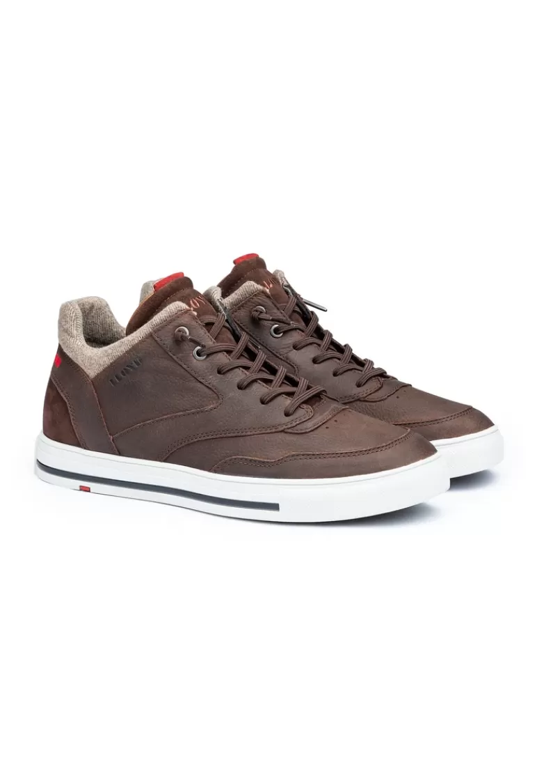 Shop LLOYD ELLISON Braun