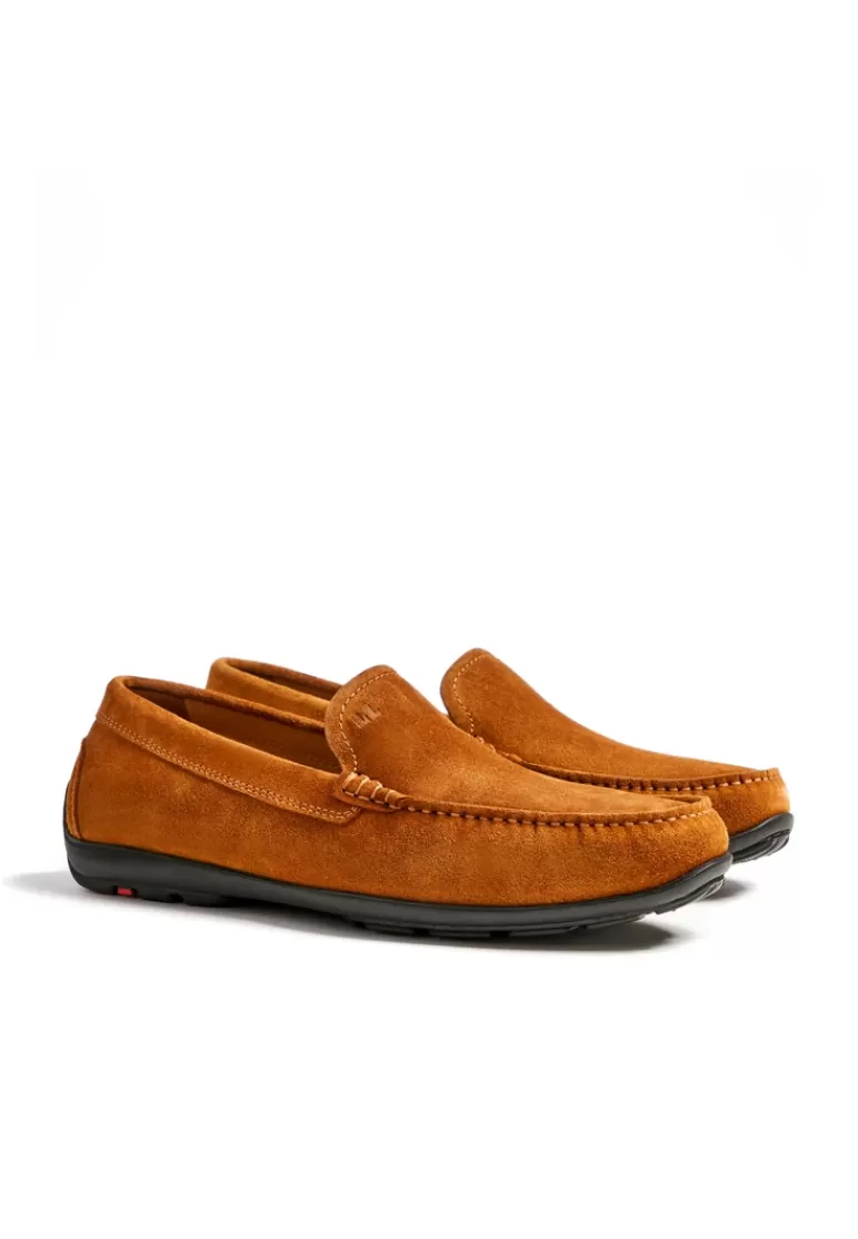 Sale LLOYD EMILIO Braun