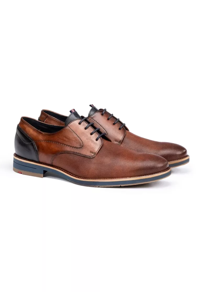Shop LLOYD HARRIS Braun