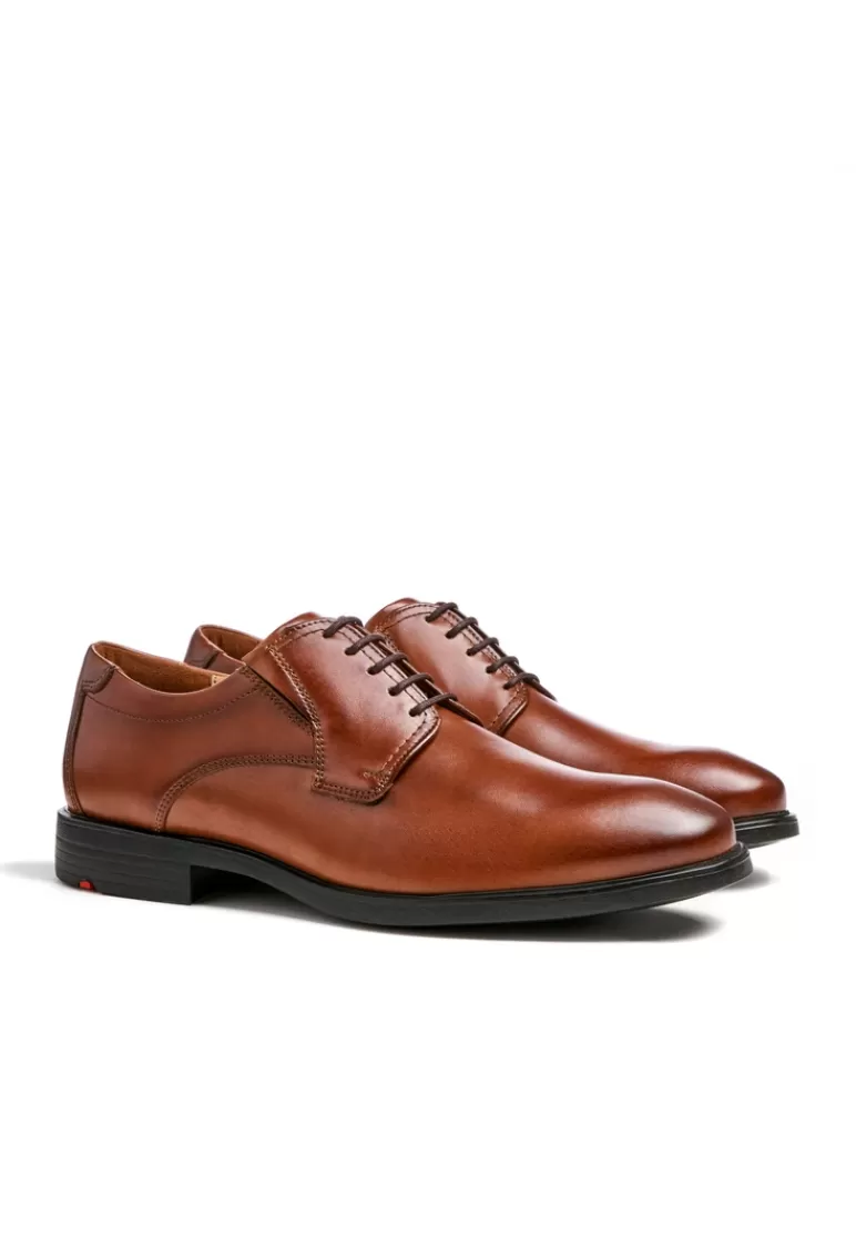Outlet LLOYD KENTUCKY Braun