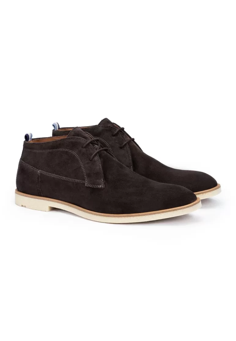 Outlet LLOYD LIVERPOOL Braun