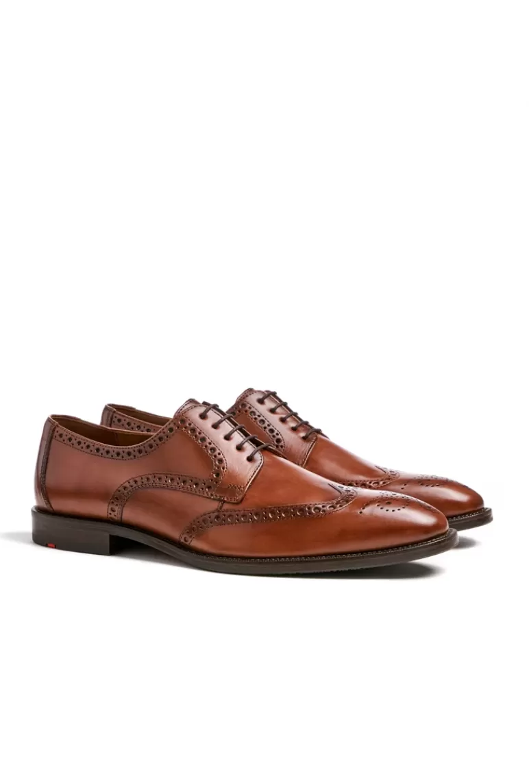 Fashion LLOYD LUCIEN Braun