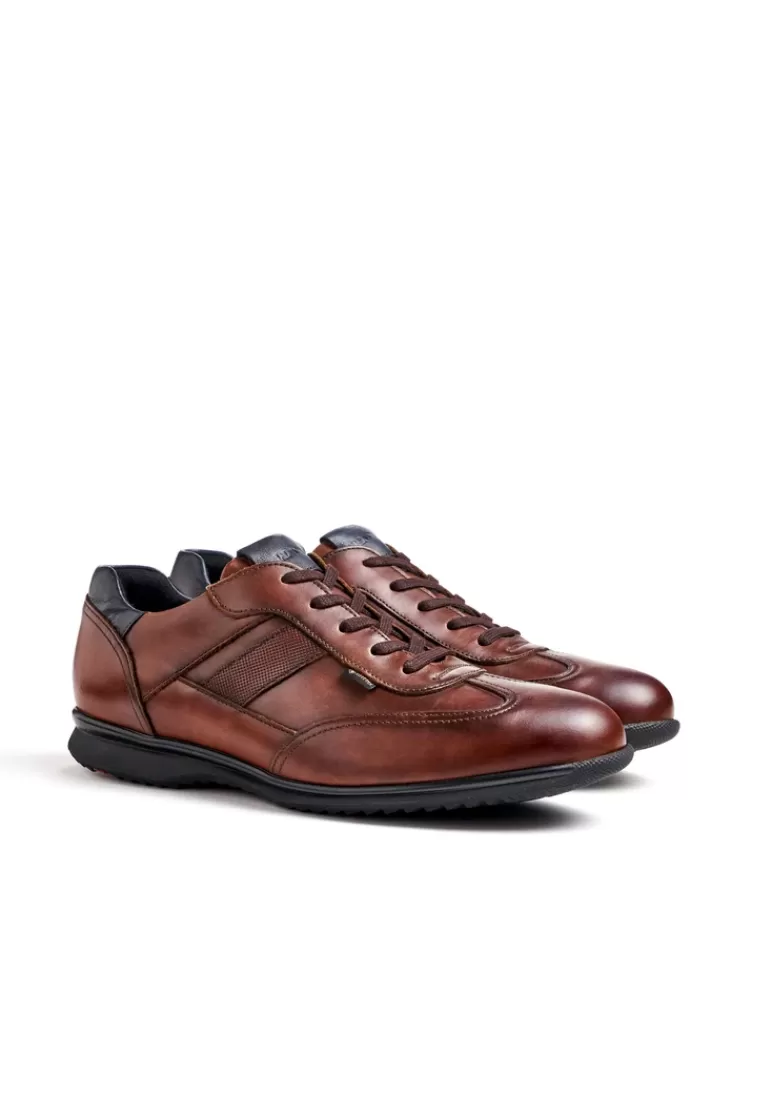 Shop LLOYD VERNON Braun